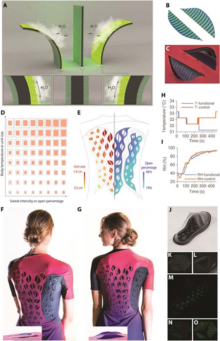 Performance of sandwich-structured biohybrid film for making sweat-responsive wearables. (A) Shape transformation of a flat sandwich-structured biohybrid film when exposed to moisture. (B and C) Stress simulation (B) and experimental bending behavior (C) of a ventilating flap at the open stage when exposed to skin with high humidity. (D) Garment design principle considering both the amount of sweat and body temperature gradient during exercise (note S4). (E) Design of a female garment prototype based on heat maps (left, unit size) and sweat maps (right, percentage of opened area) of the back (note S5). (F and G) Images of garment prototype before exercise with flat ventilation flaps (F) and after exercise with curved ventilation flaps (G). (H and I) Temperature (H) or RH (I) profiles of stagnant air layer near volunteer skin when she wears the female garment with either functional flaps (blue) or nonfunctional flaps (orange). (J to L) The image of the shoe under transmitted light (J) and the flap on the sole at low (K) or high humidity (L). (M to O) The image of the shoe under fluorescence light (M) and the flap on the sole at low (N) or high humidity (O).