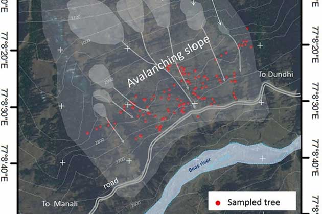 Tree-ring analyses of 144 trees (marked in red) growing on the avalanche slope between the villages of Solang and Dhundi (University of Geneva)
