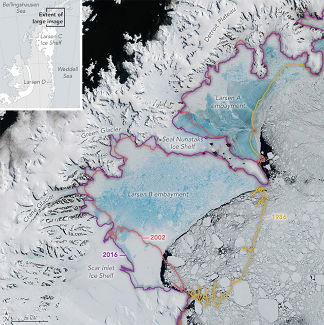 Two large sections of the ice shelf (Larsen A and B) have collapsed within the past three decades. Source: NASA