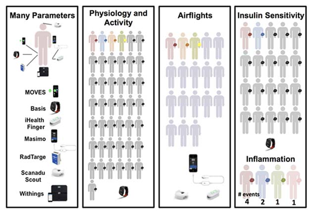 Wearable devices used in this study. The colors for different human figures indicate the specific studies in which each person participated. Red figures represent participation in all five studies; grey figures represent participation in the activity and insulin studies; blue, the activity, insulin sensitivity, and inflammation studies; orange and yellow, activity and air flights; green and pink, inflammation; and purple, air flights. Credit: Li, et al.