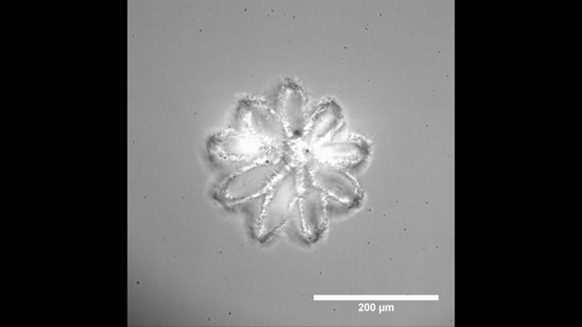 3D printing using holographic technology. (Source: Prellis Biologics)