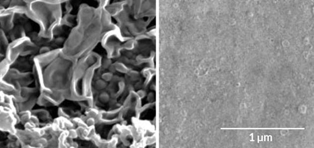 A conventional polyamide membrane (left) and a new, electrosprayed variant (right) imaged using SEM. (Source: M. R. Chowdhury et al., 2018)
