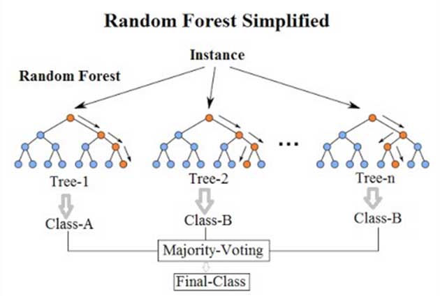 A simplified example of a random forest algorithm. (Source: Venkata Jagannath @ Wikimedia Commons)