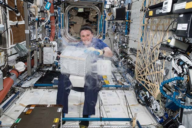 Astronaut, Auñón-Chancellor, working with plant samples aboard the ISS. (Source: NASA)