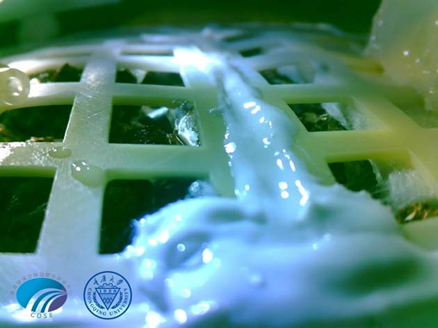 Chinese scientists released this image of a cotton plant germinating in its tank on the moon’s far side, aboard the Chang'e 4 lander. The photograph was taken on January 7, 2019. (Source: Chongqing University)