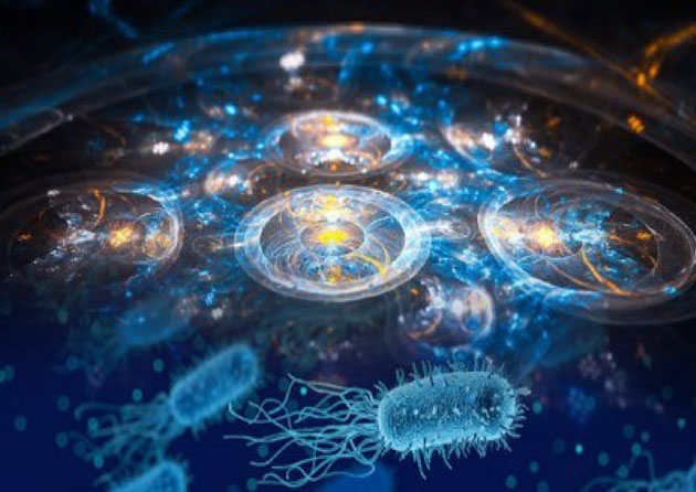 Creating quantum entanglement in bacteria has been called a ‘quantum biology milestone’ by physicists. (Image Source: Outerplaces)
