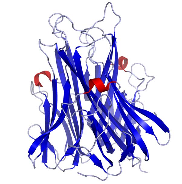 Crystal structure of TNFa as published in the Protein Data Bank.
