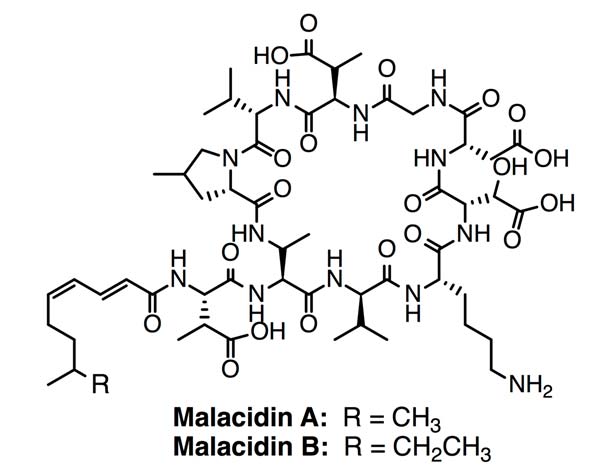 Malacidin A & B. Antibiotics discovered using a metagenomic-drug discovery platform.