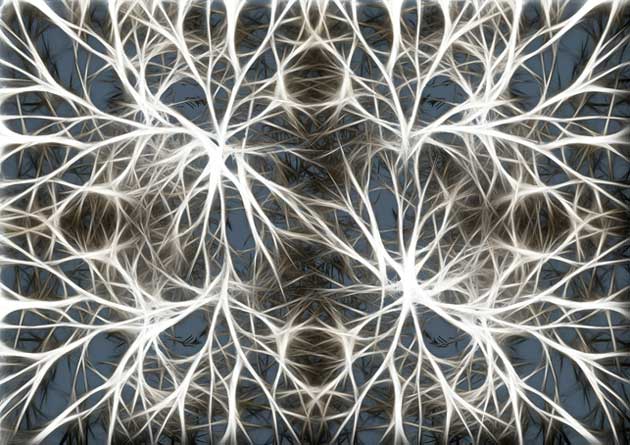 Neurons – brain cells (Source: Pixabay)