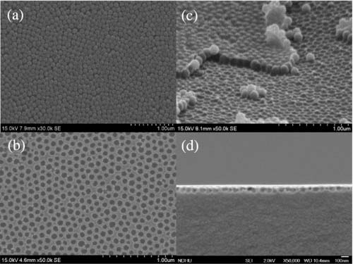 SEM images of (a) SiO2 nanoparticle monolayer on the template, (b) imprinted nanostructure on TAC substrate before HF dipping, (c) top view and (d) side view of final moth-eye-like nanostructure on TAC substrate.