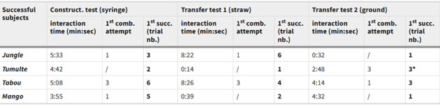 Summary of performance in construction test 1 (‘syringe’) and the 2 transfer tests (‘straw’ and ‘ground’) for the 4 subjects that made and used compound tools. Interaction time: total interaction time with the tool elements before success. /: tool-building success at first attempt (without prior failures). *: trial failure due to unstable compound tool. The interaction time until first success was regarded as statistically significant (Pearson’s correlation coefficient: r = 0.993, p < 0.001). (Source: A. M. P. v. Bayern et al, 2018)