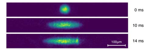 Experimental TOF images of the effectively 1D expanding SOC BEC for expansion times of 0, 10, and 14 ms.