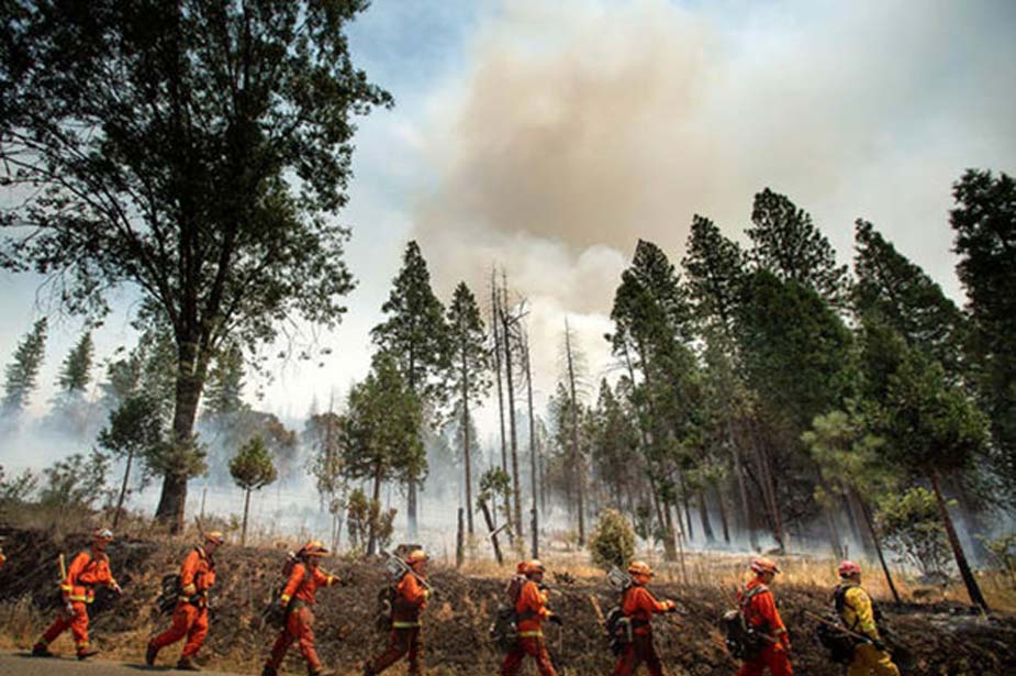 The Ferguson Fire is now the largest fire in the Sierra National Forest’s history. (Source: Getty Images)