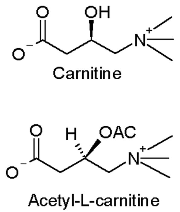 The difference between carnitine and LAC. (Source: Wikimedia Commons)