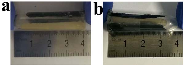 The graphite (a) and Ag/AgCl (b) lactate-sensing electrodes painted onto the insides of clear tubes. (Source: W. Shi, et al., 2018)