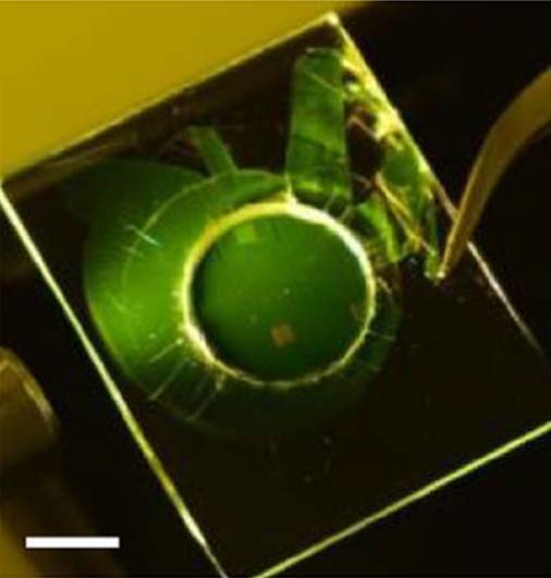 The laser-membrane, floating free in a hole in the glass. Scale: 5mm. (Source: Modified figure from M. Karl et al., 2018)