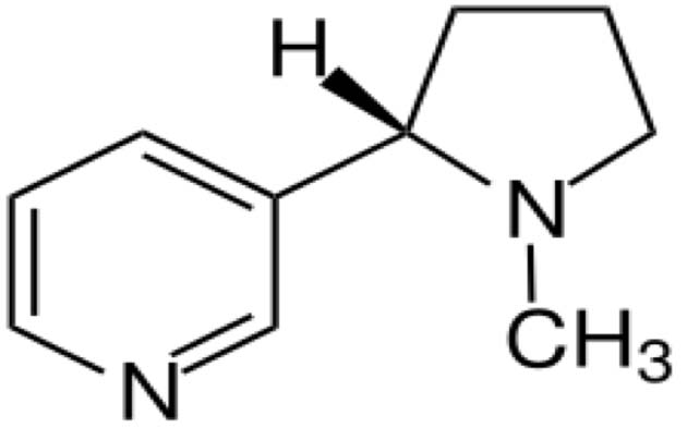 The novel treatment targets nicotine and breaks it down into an inactive form. (Image Source: Wikimedia Commons)
