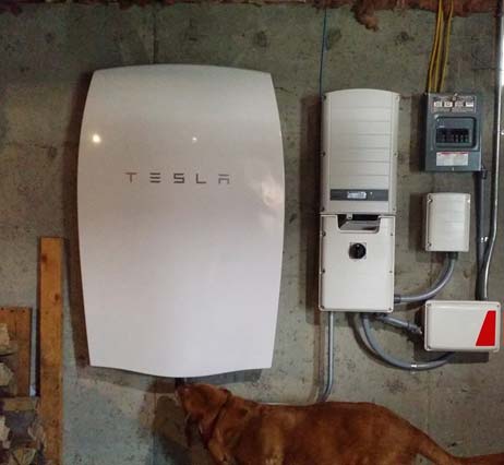 A dog investigates its family’s new Powerwall. (Source: Public Domain)