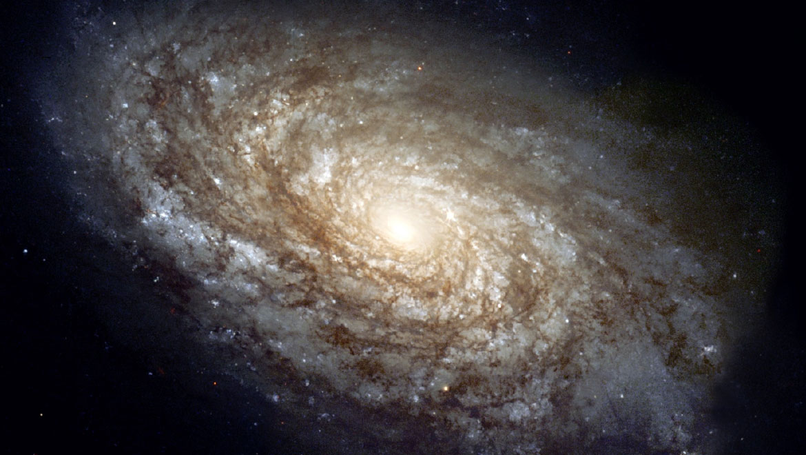 Artificial Intelligence Software Can Now Recognize Galaxies