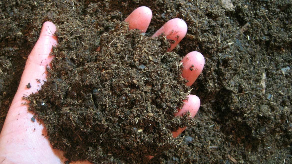 Gold Dirt: New Class of Antibiotics Isolated From Soil-Based Sources
