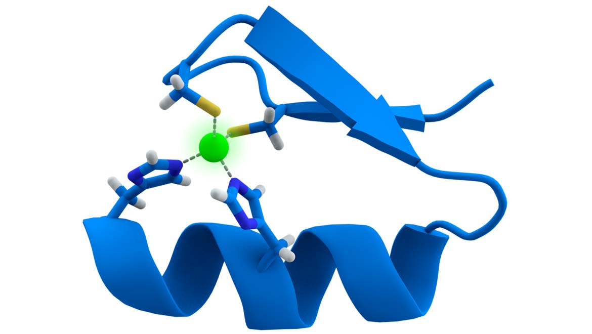 Everyday Human Protein Found To Boost Aggressive Leukemia