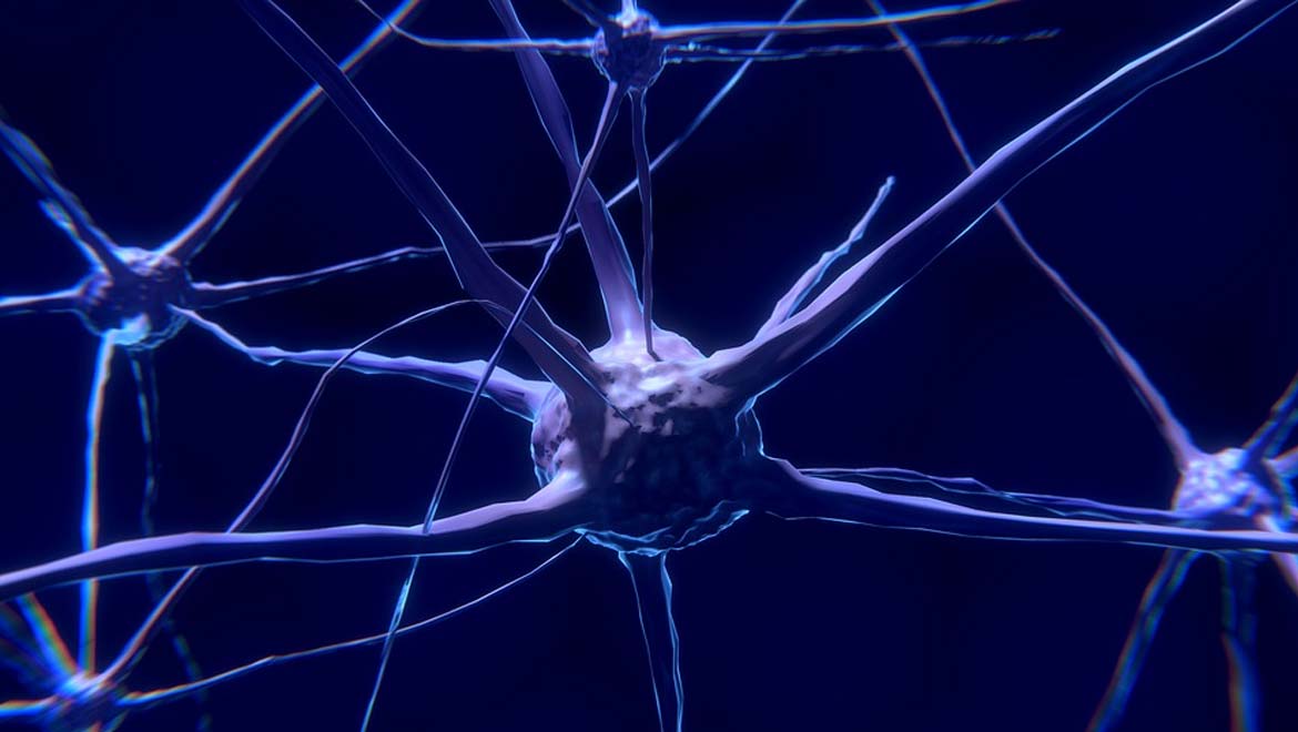 New Findings in Motor Neurone Disease Research Outlines Abnormalities in Important Nerve Cells