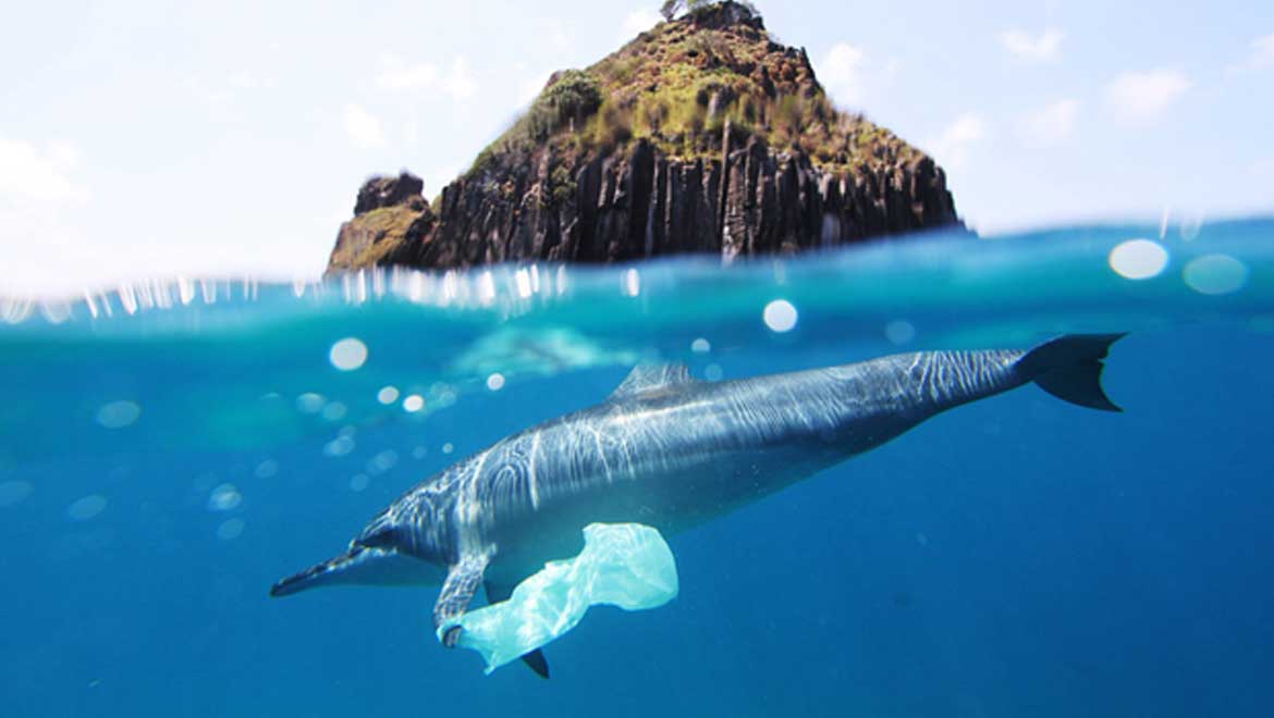 Big Ups To Waste Management Systems As Research Reveals Decline In Plastic Bags On Seabed