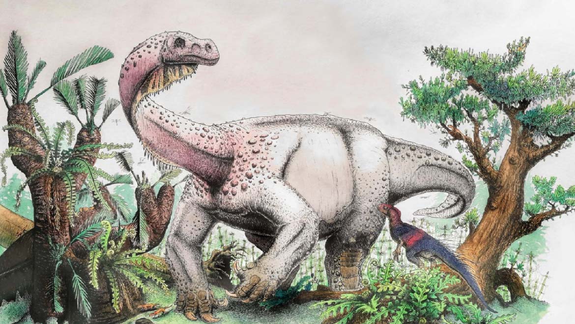 Remains of Newest Sauropod Dinosaur Discovered!