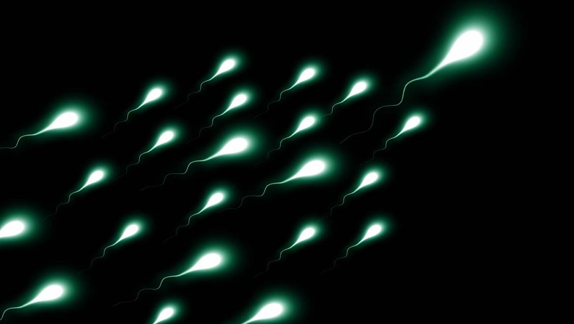 New Method of Creating Sperm Could Bring Hope to Sufferers of Genetic Male Infertility