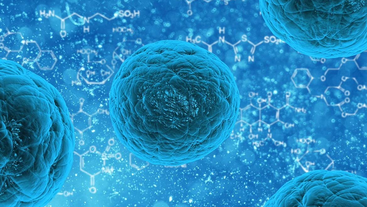 New Technique Brings Adult Stem Cell Technology Closer to the Everyday Clinic