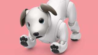 Meet Aibo: Get Ready To Be Charmed By Sony’s New And Improved Robotic Puppy