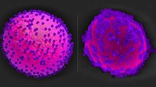 Bionic Yeast: Single-Cell ‘Biofactories’ Get Nanotech Enhancement To Make Them More Energetic