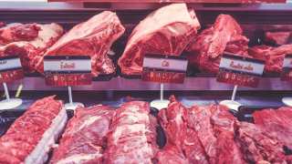 Changing The Way We Eat: Moving Towards Sustainable Beef Production In The US
