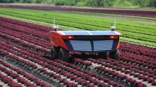 These Robots Can Redefine The Future Of Farming, Say Sydney Researchers