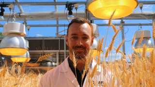 Speed Breeding: Could This Be Our Answer To Food Insecurity And Overpopulation?