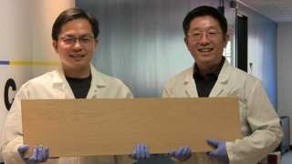 New Chemical Process Makes Wood as Strong as Steel