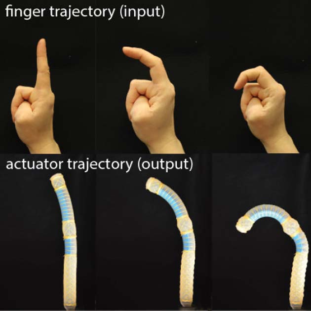 Harvard researchers developed a model to design a soft robot that bends like an index finger and twists like a thumb when powered by a single pressure source.
