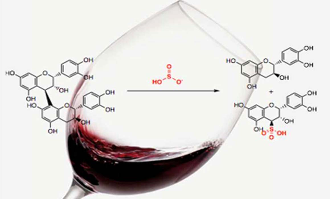 The molecules on the left represent a polymerized tannin, while the molecules on the right represent the breakdown products following a reaction with bisulfite. (Source: Acsh.org)